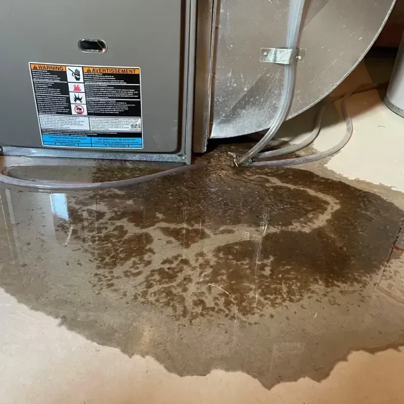 Appliance Leak Cleanup in Jamestown West, NY